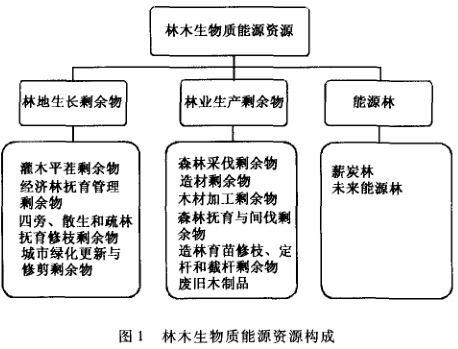 生物质能开发利用带来新的曙光