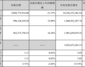 古井贡酒第三季净利增