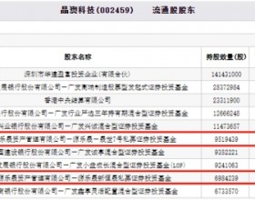 晶澳科技跌停 百亿私