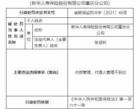 新华保险重庆分公司违