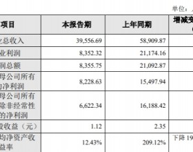 金迪克盘中破发业绩大