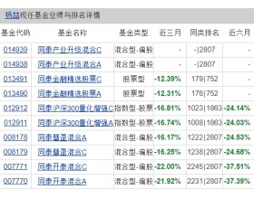 同泰自主创新混合募集