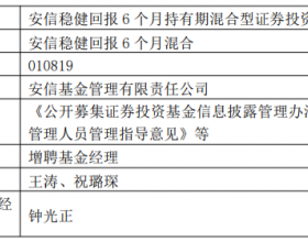 安信稳健回报6个月混